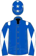 Royal blue, white epaulets, diabolo on sleeves and stars on cap
