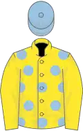 Yellow, light blue spots, yellow sleeves, light blue cap