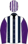 Dark blue and white stripes, purple sleeves, purple and white striped cap