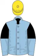 Light blue, black and light blue halved sleeves, yellow cap