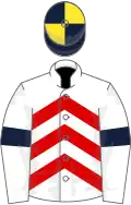 WHITE and RED CHEVRONS,white sleeves,dark blue armlets,dark blue and yellow striped cap