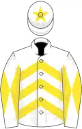 White, yellow chevrons, diabolo on sleeves, star on cap