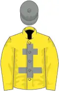 Yellow, grey cross of lorraine, yellow sleeves, grey cap
