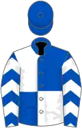Royal blue and white (quartered), chevrons on sleeves