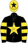 Black, yellow star, hooped sleeves, yellow cap, black star