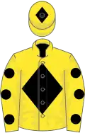 Yellow, black diamond, yellow sleeves, black spots, yellow cap, black diamond