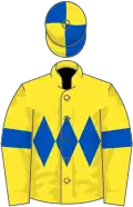 Yellow, royal blue triple diamond and armlets, royal blue and yellow quartered cap