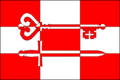 Flag of Předotice
