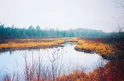 Early spring scene, near Clam Lake
