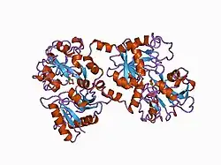 1bka: OXALATE-SUBSTITUTED DIFERRIC LACTOFERRIN