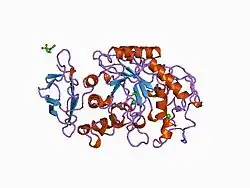 1bsi: HUMAN PANCREATIC ALPHA-AMYLASE FROM PICHIA PASTORIS, GLYCOSYLATED PROTEIN