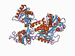 1cb6: STRUCTURE OF HUMAN APOLACTOFERRIN AT 2.0 A RESOLUTION.