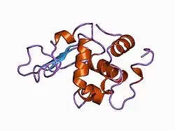 1ckh: T70V MUTANT HUMAN LYSOZYME