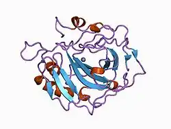 1cvh: STRUCTURAL CONSEQUENCES OF REDESIGNING A PROTEIN-ZINC BINDING SITE