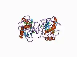 1cxv: STRUCTURE OF RECOMBINANT MOUSE COLLAGENASE-3 (MMP-13)