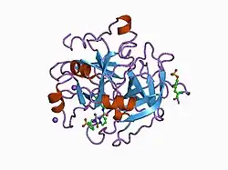 1d6w: STRUCTURE OF THROMBIN COMPLEXED WITH SELECTIVE NON-ELECTROPHILIC INHIBITORS HAVING CYCLOHEXYL MOIETIES AT P1