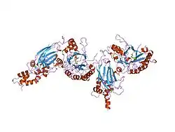 1djw: PHOSPHOINOSITIDE-SPECIFIC PHOSPHOLIPASE C-DELTA1 FROM RAT COMPLEXED WITH INOSITOL-2-METHYLENE-1,2-CYCLIC-MONOPHOSPHONATE