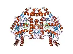 1dmi: BOVINE ENDOTHELIAL NITRIC OXIDE SYNTHASE HEME DOMAIN COMPLEXED WITH 6S-H4B