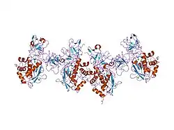 1eak: CATALYTIC DOMAIN OF PROMMP-2 E404Q MUTANT