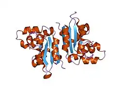 1ehw: HUMAN NUCLEOSIDE DIPHOSPHATE KINASE 4