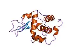 1eq4: CRYSTAL STRUCTURES OF SALT BRIDGE MUTANTS OF HUMAN LYSOZYME