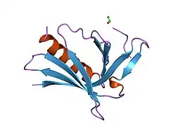 1evh: EVH1 DOMAIN FROM MURINE ENABLED IN COMPLEX WITH ACTA PEPTIDE