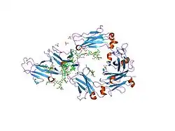 1f6a: Structure of the human ige-fc bound to its high affinity receptor fc(epsilon)ri(alpha)