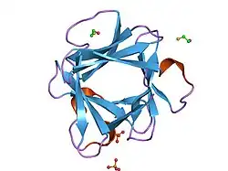 1fga: REFINEMENT OF THE STRUCTURE OF HUMAN BASIC FIBROBLAST GROWTH FACTOR AT 1.6 ANGSTROMS RESOLUTION AND ANALYSIS OF PRESUMED HEPARIN BINDING SITES BY SELENATE SUBSTITUTION