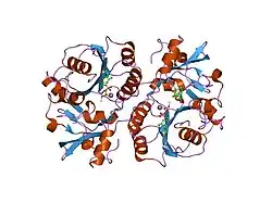 1fgg: CRYSTAL STRUCTURE OF 1,3-GLUCURONYLTRANSFERASE I (GLCAT-I) COMPLEXED WITH GAL-GAL-XYL, UDP, AND MN2+