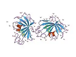 1fki: DESIGN, SYNTHESIS, AND KINETIC EVALUATION OF HIGH-AFFINITY FKBP LIGANDS, AND THE X-RAY CRYSTAL STRUCTURES OF THEIR COMPLEXES WITH FKBP12