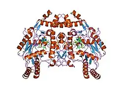 1fop: BOVINE ENDOTHELIAL NITRIC OXIDE SYNTHASE HEME DOMAIN COMPLEXED WITH L-ARG AND NO(H4B-BOUND)
