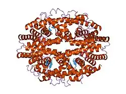 1g1u: THE 2.5 ANGSTROM RESOLUTION CRYSTAL STRUCTURE OF THE RXRALPHA LIGAND BINDING DOMAIN IN TETRAMER IN THE ABSENCE OF LIGAND