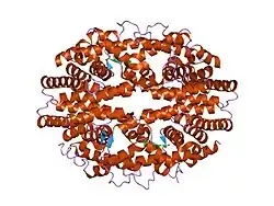 1g5y: THE 2.0 ANGSTROM RESOLUTION CRYSTAL STRUCTURE OF THE RXRALPHA LIGAND BINDING DOMAIN TETRAMER IN THE PRESENCE OF A NON-ACTIVATING RETINOIC ACID ISOMER.