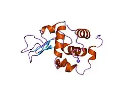 1gb7: CRYSTAL STRUCTURE OF MUTANT HUMAN LYSOZYME SUBSTITUTED AT THE SURFACE POSITIONS