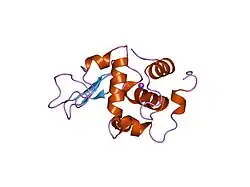 1gez: BURIED POLAR MUTANT HUMAN LYSOZYME