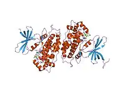 1gng: GLYCOGEN SYNTHASE KINASE-3 BETA (GSK3) COMPLEX WITH FRATTIDE PEPTIDE