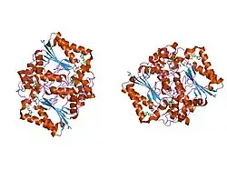 1h66: CRYSTAL STRUCTURE OF HUMAN NAD[P]H-QUINONE OXIDOREDUCTASE CO WITH 2,5-DIAZIRIDINYL-3-HYDROXYL-6-METHYL-1,4-BENZOQUINONE