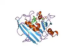 1hfr: COMPARISON OF TERNARY CRYSTAL COMPLEXES OF HUMAN DIHYDROFOLATE REDUCTASE WITH NADPH AND A CLASSICAL ANTITUMOR FUROPYRIMDINE
