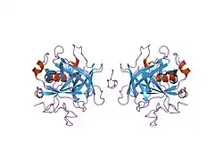 1hlt: THE STRUCTURE OF A NONADECAPEPTIDE OF THE FIFTH EGF DOMAIN OF THROMBOMODULIN COMPLEXED WITH THROMBIN