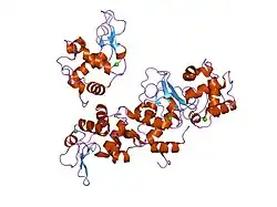 1i22: MUTANT HUMAN LYSOZYME (A83K/Q86D/A92D)