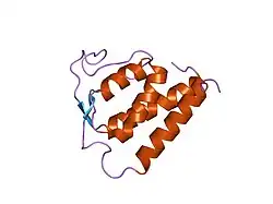 1ijz: Solution Structure of Human IL-13