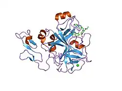 1iqj: Human coagulation factor Xa in complex with M55124