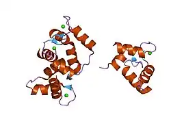 1j7p: Solution structure of Calcium calmodulin C-terminal domain