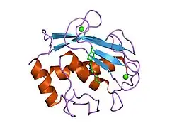 1jh1: Crystal Structure of MMP-8 complexed with a 6H-1,3,4-thiadiazine derived inhibitor