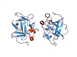 1jy0: Human acidic fibroblast growth factor. 141 amino acid form with amino terminal His tag and Cys 117 replaced with Val (C117V).