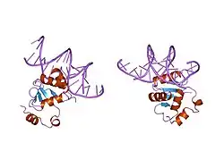 1k79: Ets-1(331-440)+GGAA duplex