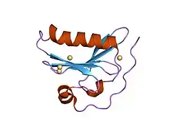 1kcq: Human Gelsolin Domain 2 with a Cd2+ bound