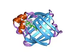1kgl: Solution structure of cellular retinol binding protein type-I in complex with all-trans-retinol