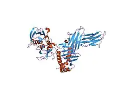 1klg: Crystal structure of HLA-DR1/TPI(23-37, Thr28-->Ile mutant) complexed with staphylococcal enterotoxin C3 variant 3B2 (SEC3-3B2)
