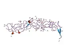 1klo: CRYSTAL STRUCTURE OF THREE CONSECUTIVE LAMININ-TYPE EPIDERMAL GROWTH FACTOR-LIKE (LE) MODULES OF LAMININ GAMMA1 CHAIN HARBORING THE NIDOGEN BINDING SITE